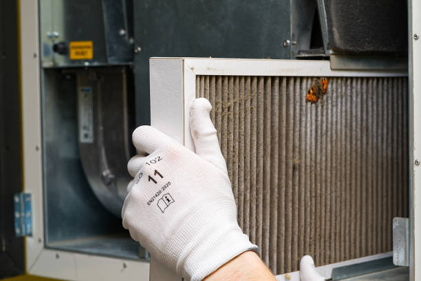 Best Affordable Air Duct Cleaning  in Wheatland, CA