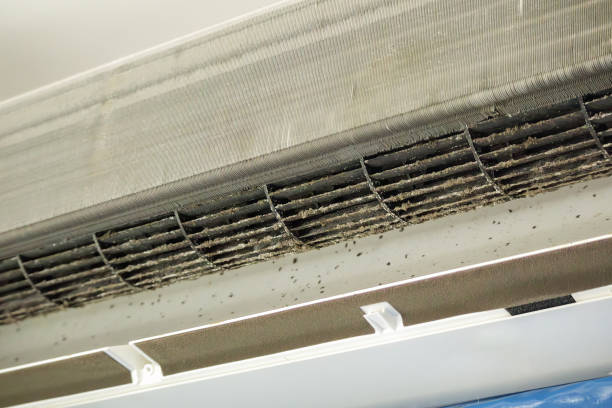 Best HVAC System Cleaning  in Wheatland, CA